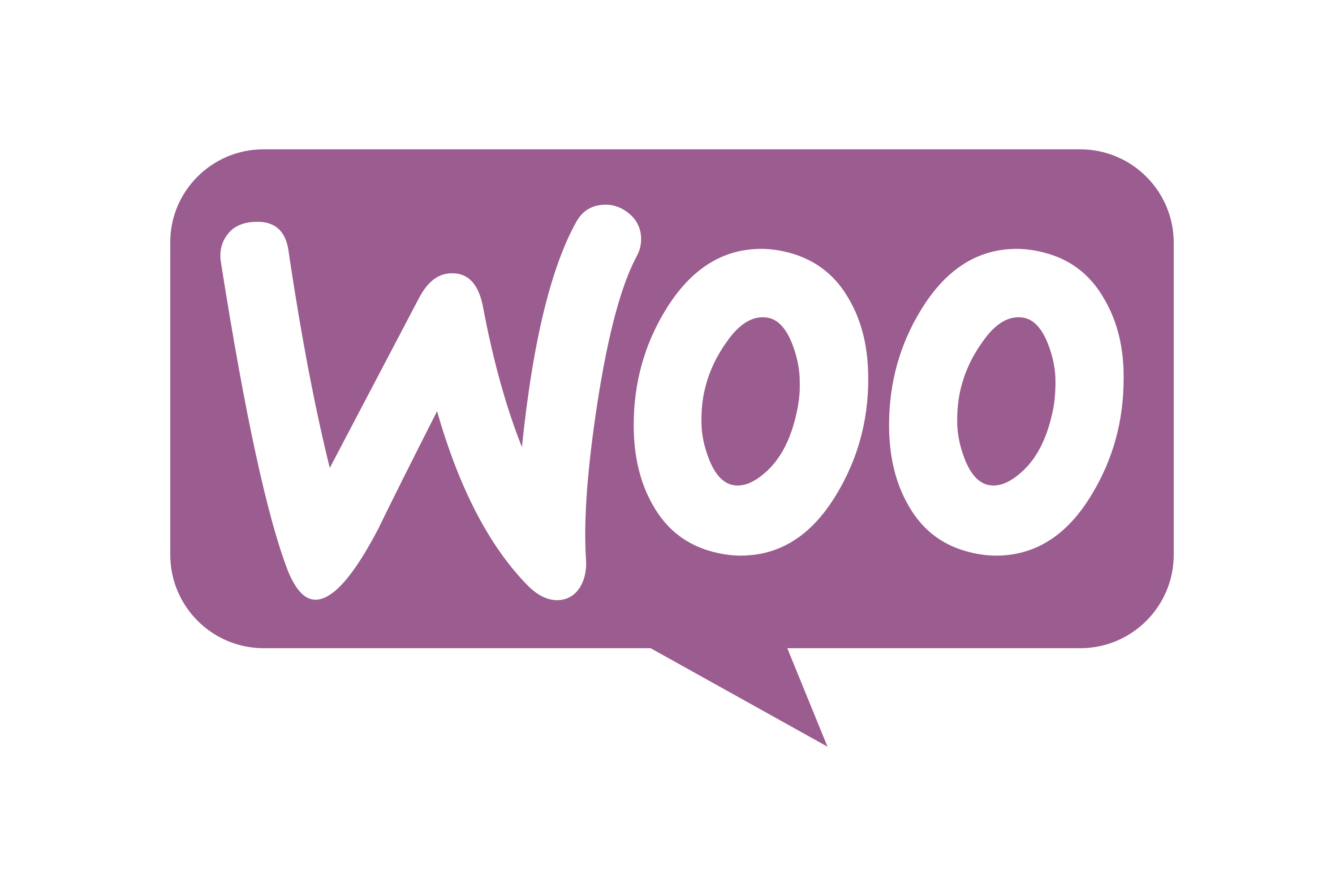 WooCommerce